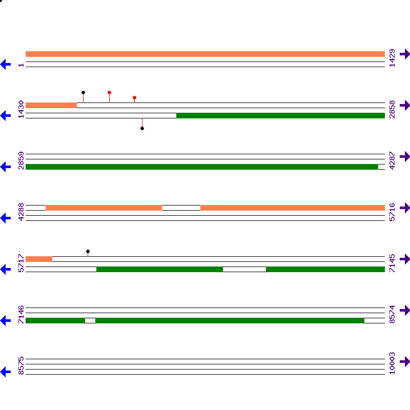 Genome View