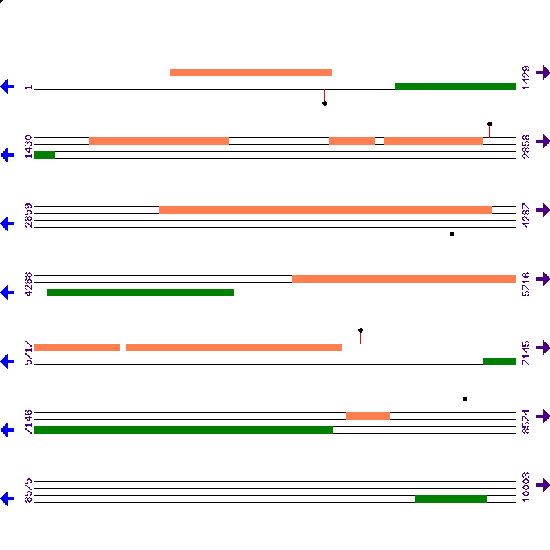 Genome View