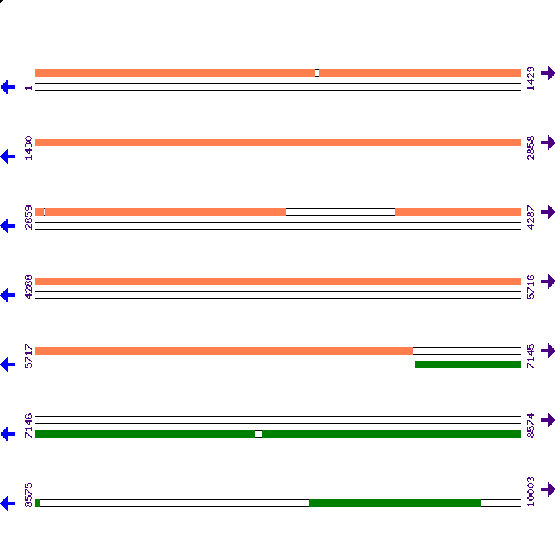 Genome View