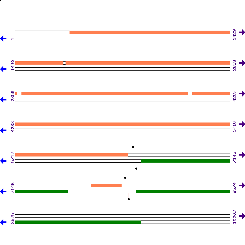 Genome View