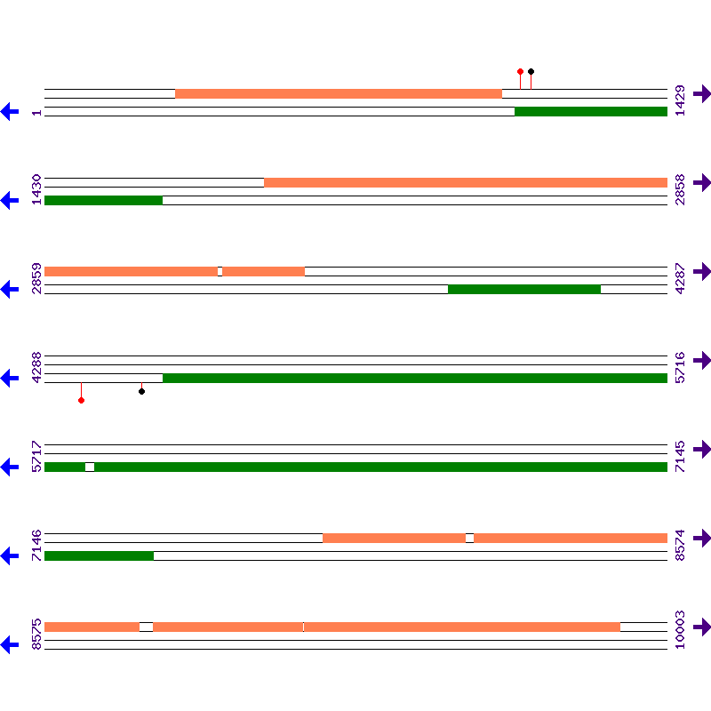 Genome View