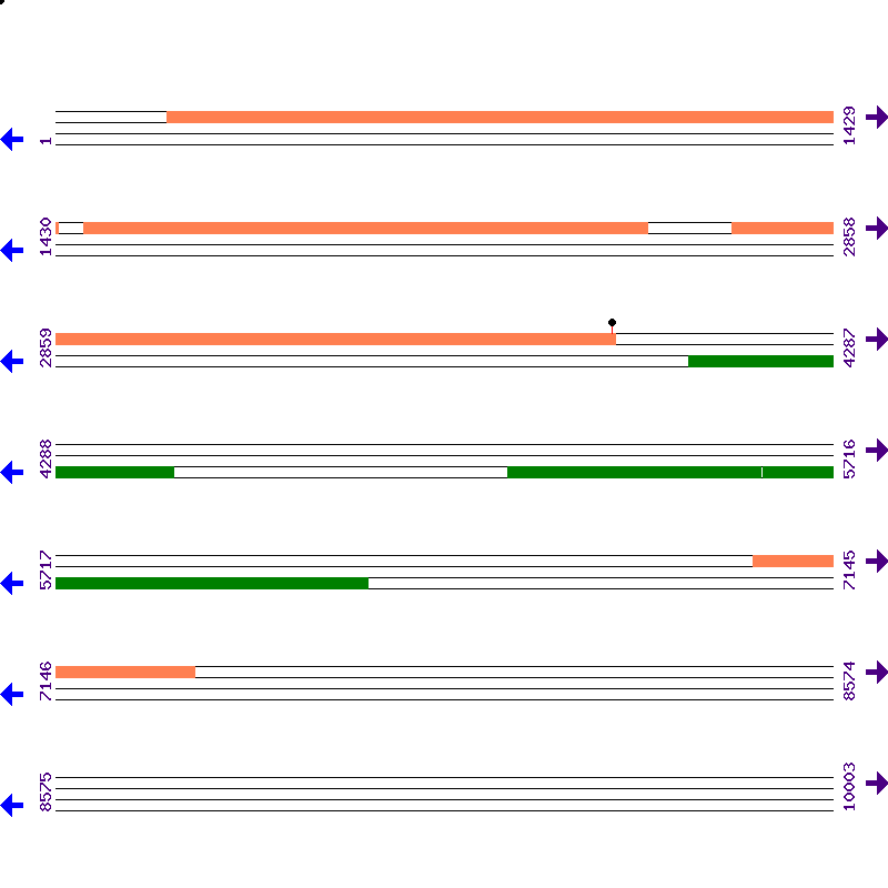 Genome View