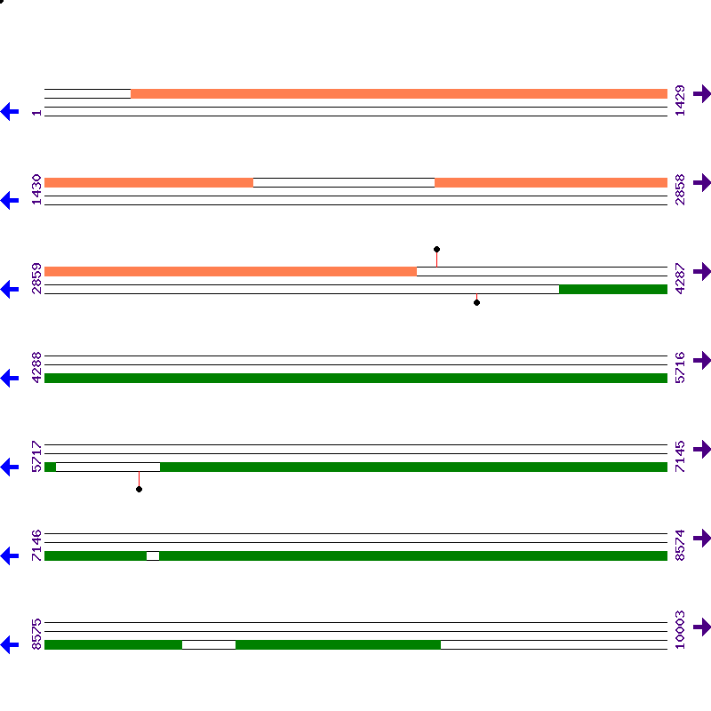 Genome View