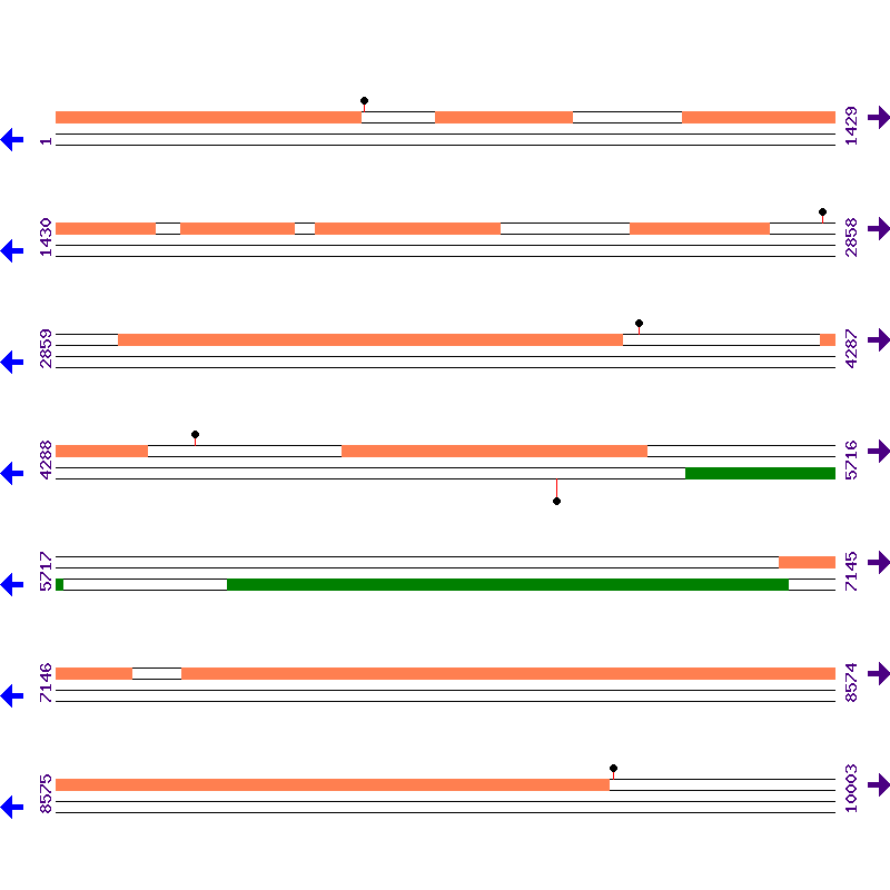 Genome View