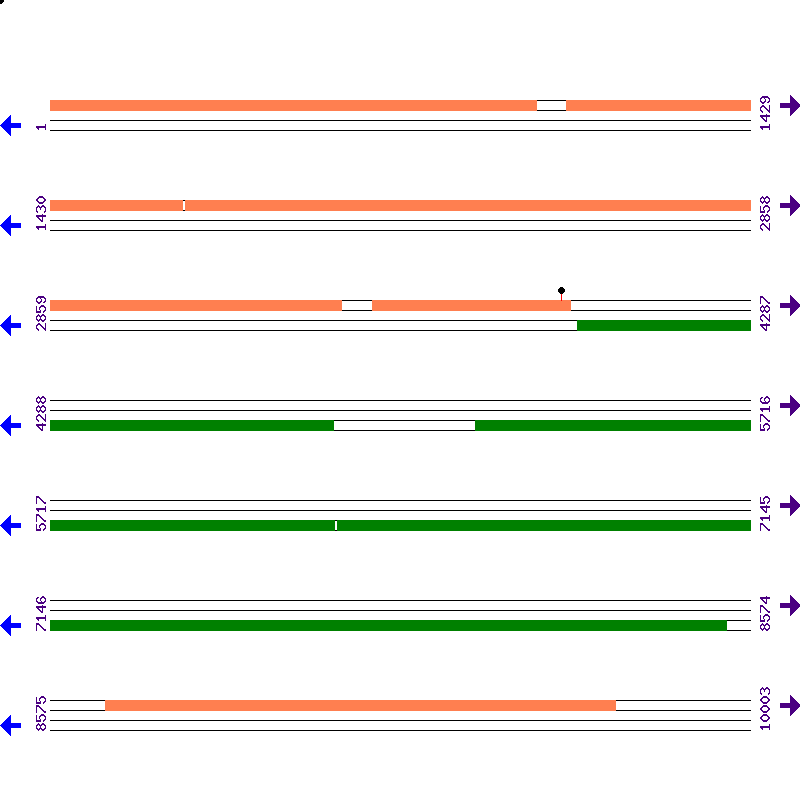 Genome View