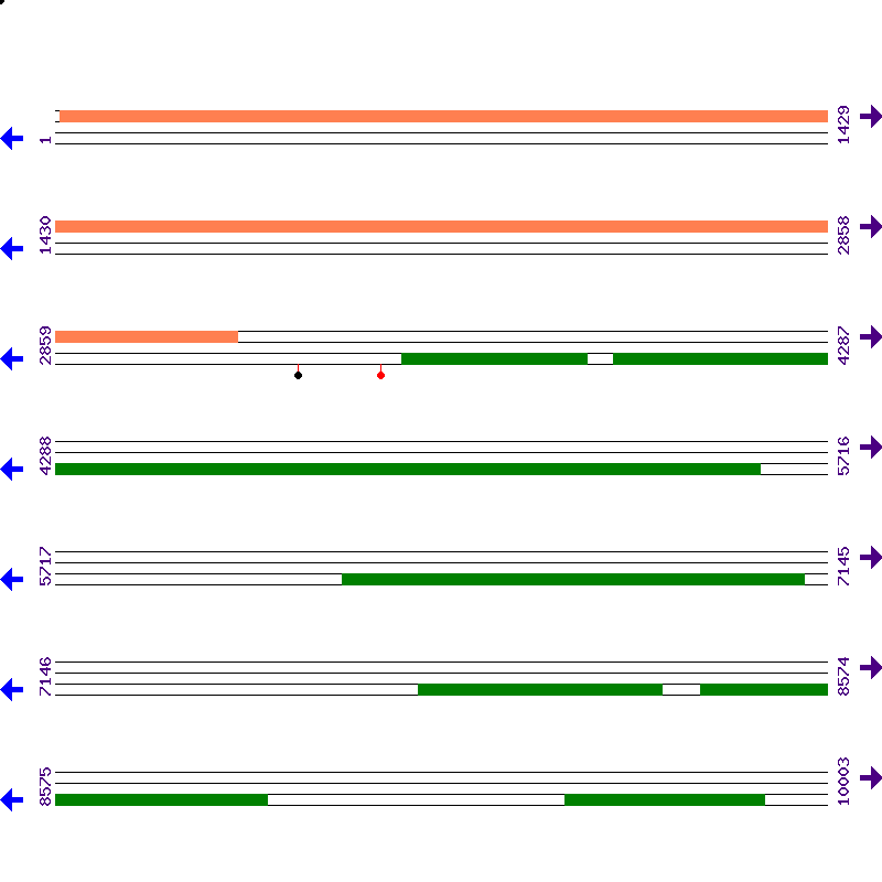 Genome View