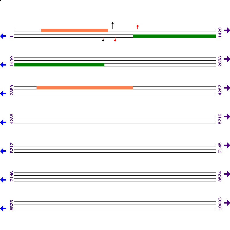 Genome View