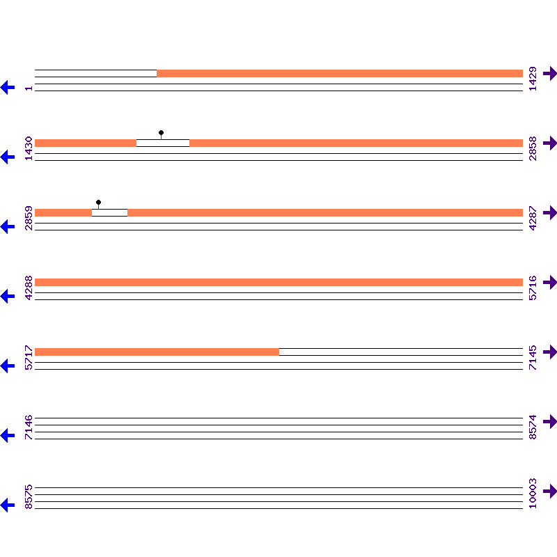 Genome View