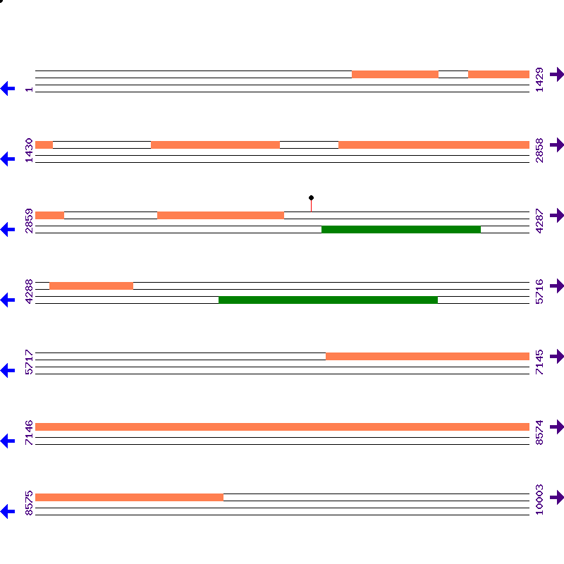 Genome View