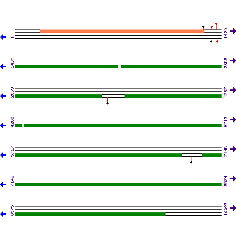 Genome View