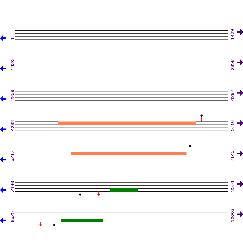 Genome View