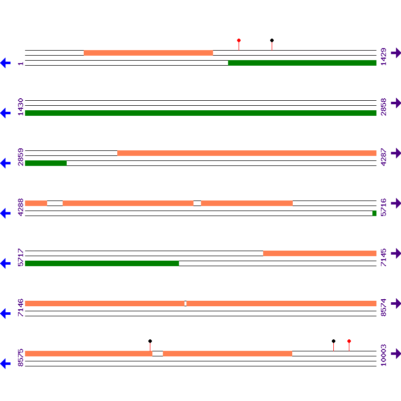Genome View