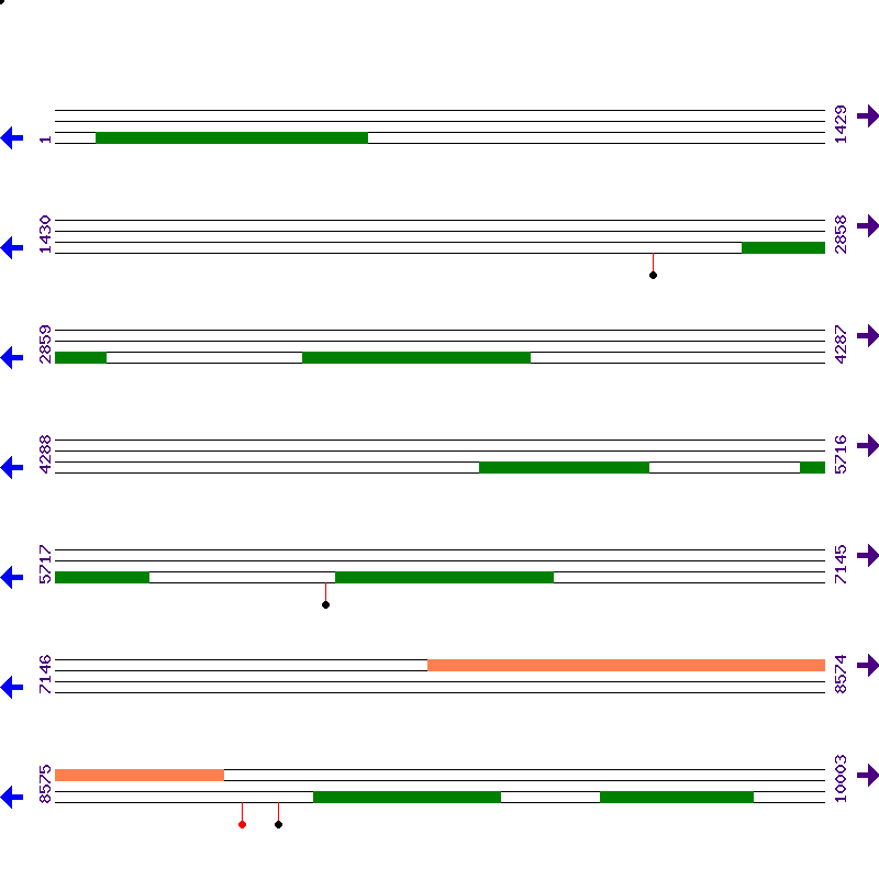 Genome View