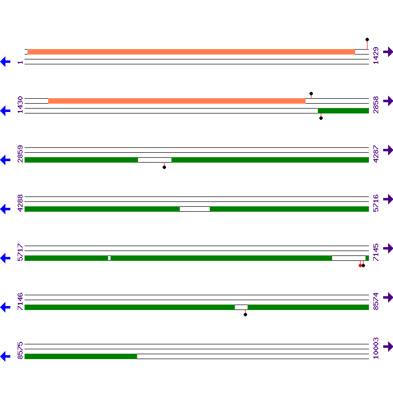 Genome View