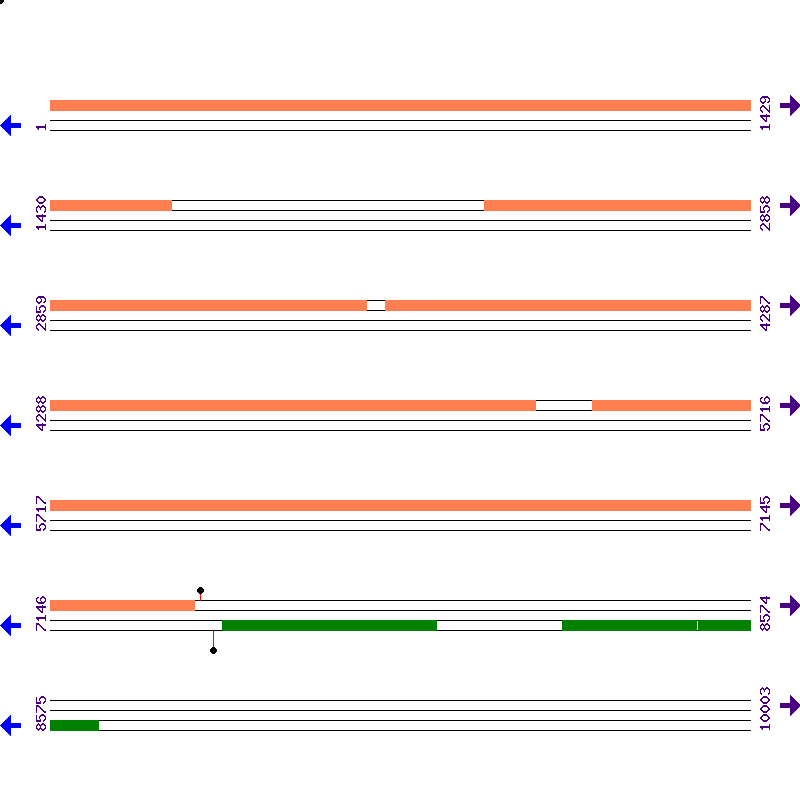 Genome View