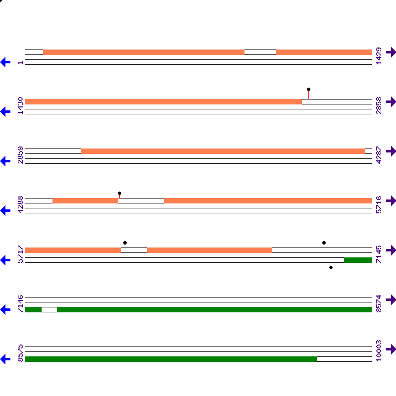 Genome View