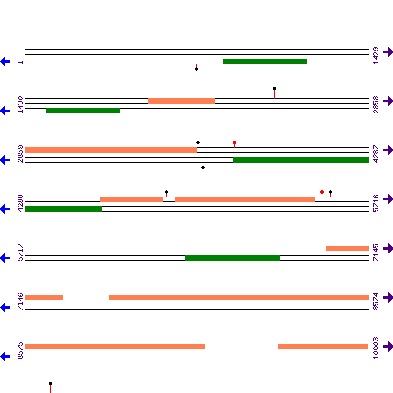 Genome View