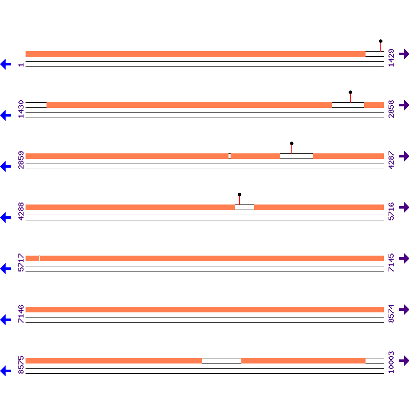 Genome View