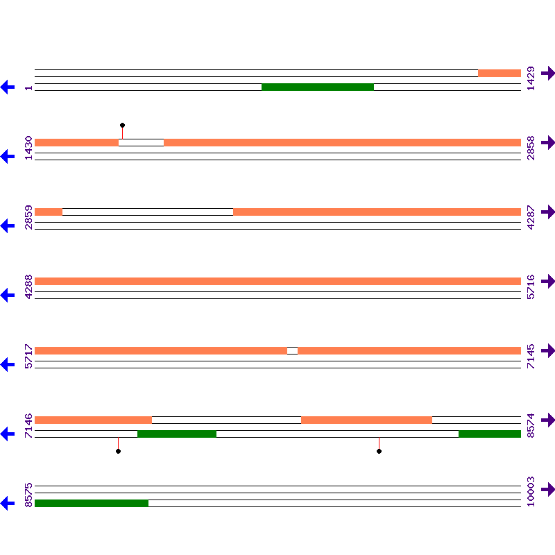Genome View
