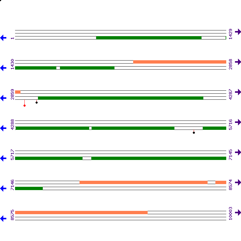 Genome View