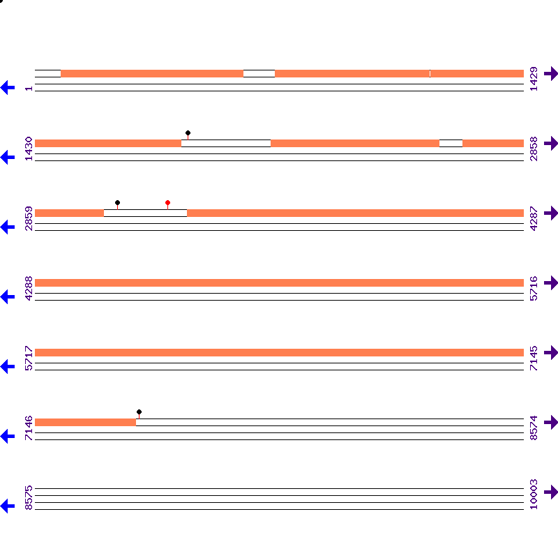 Genome View