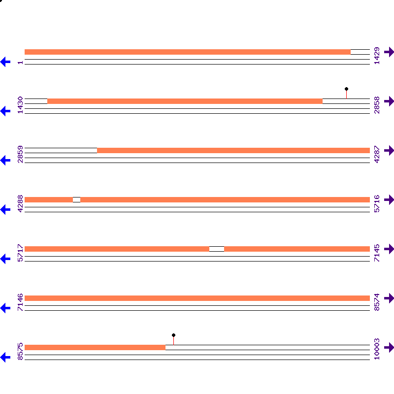 Genome View
