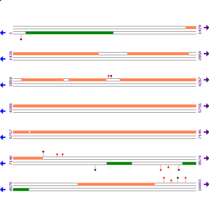 Genome View