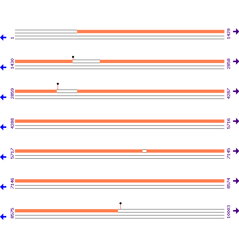 Genome View