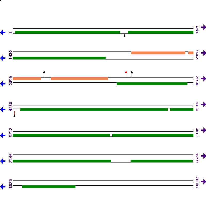 Genome View