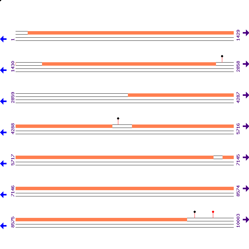 Genome View