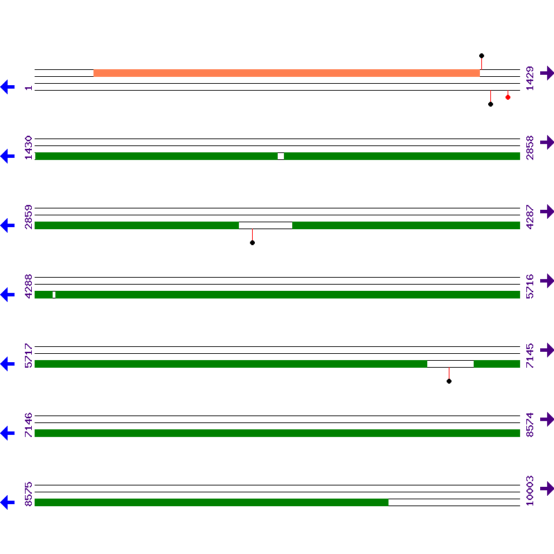 Genome View