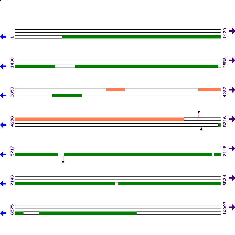Genome View