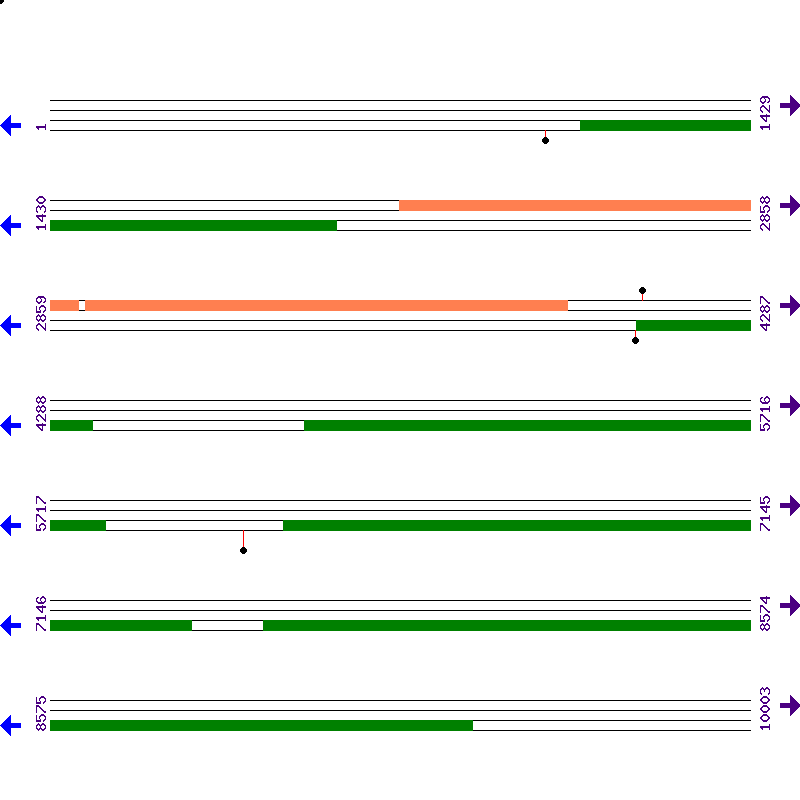 Genome View