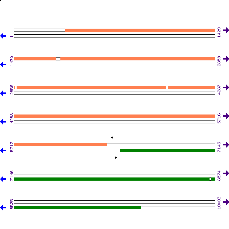 Genome View