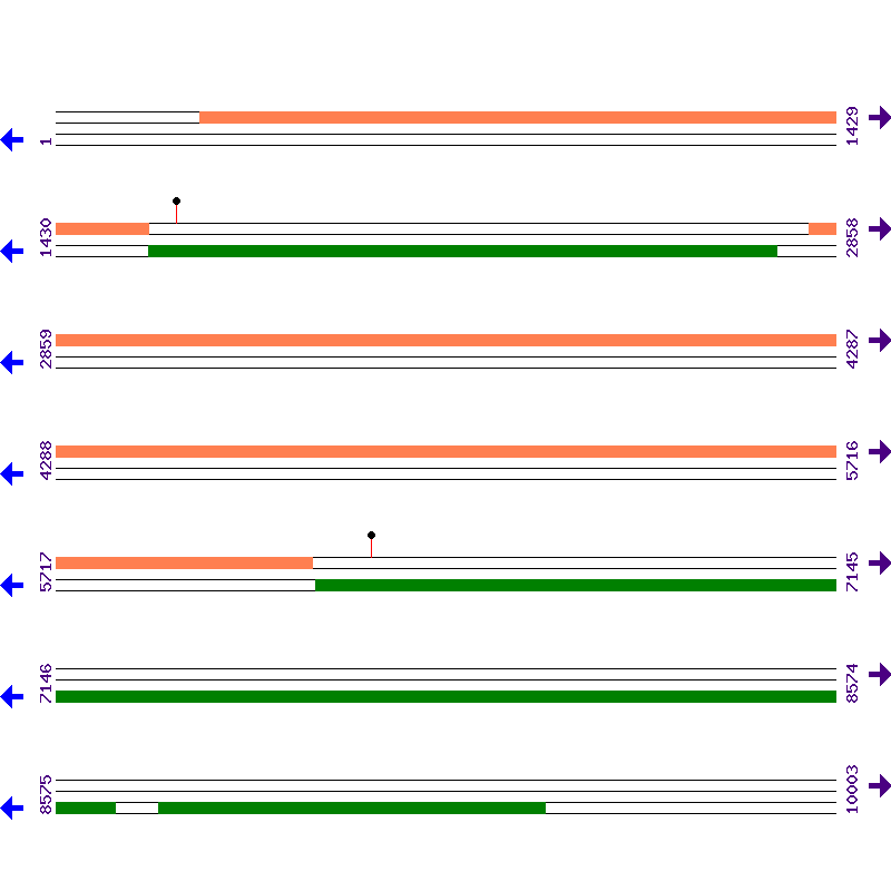 Genome View