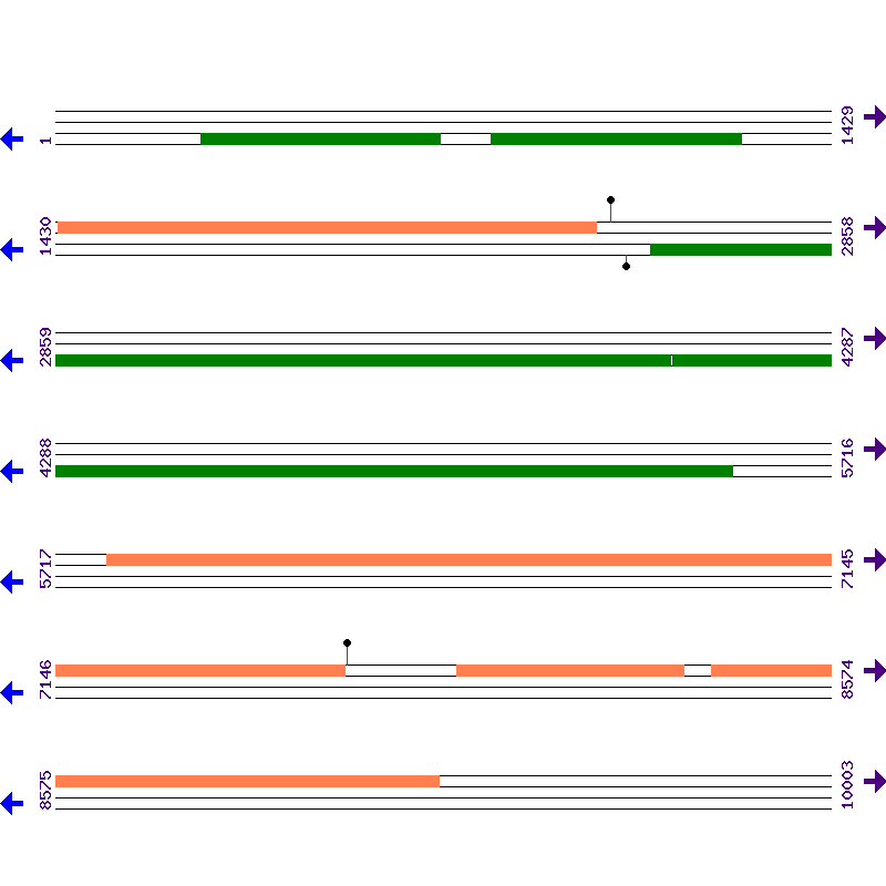 Genome View