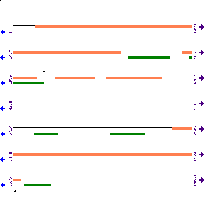 Genome View