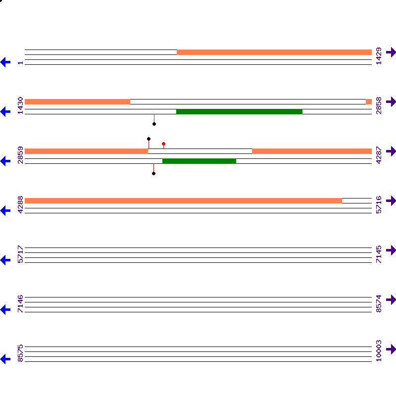 Genome View