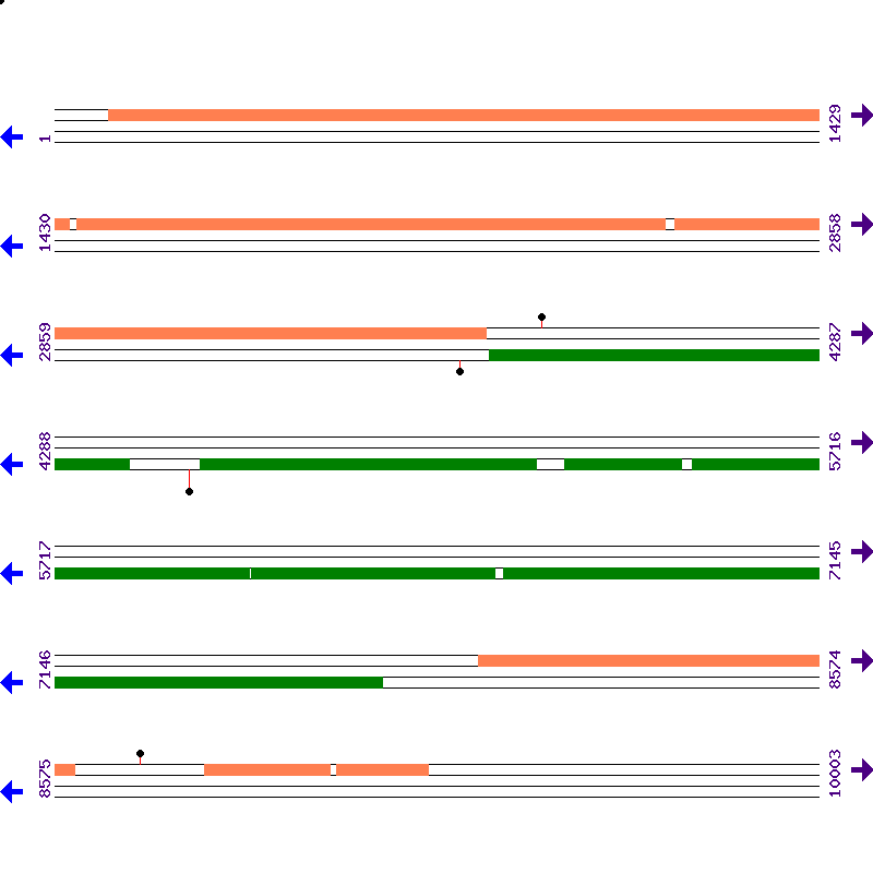 Genome View