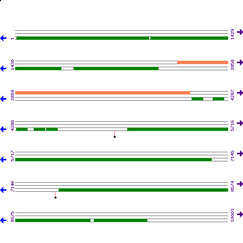 Genome View