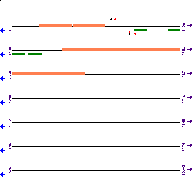 Genome View