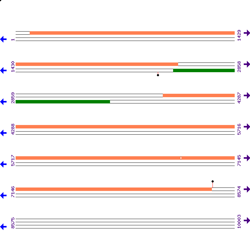 Genome View