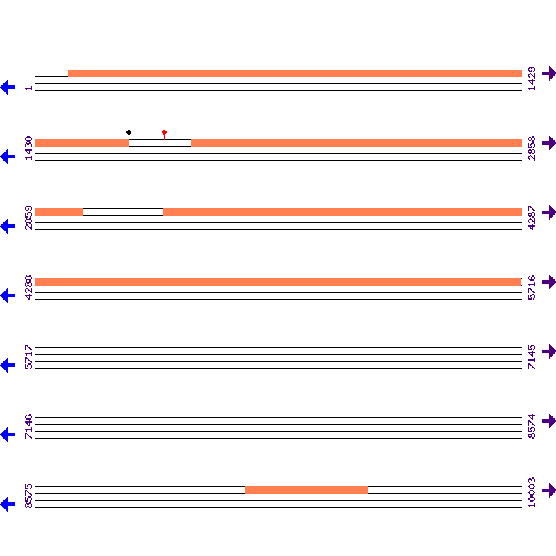 Genome View