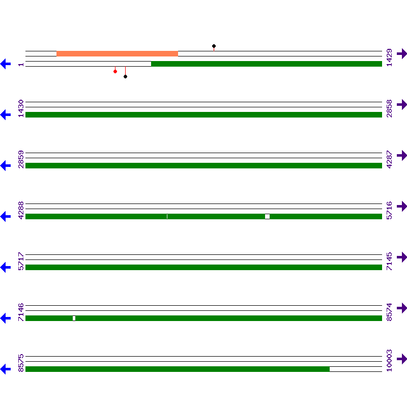 Genome View