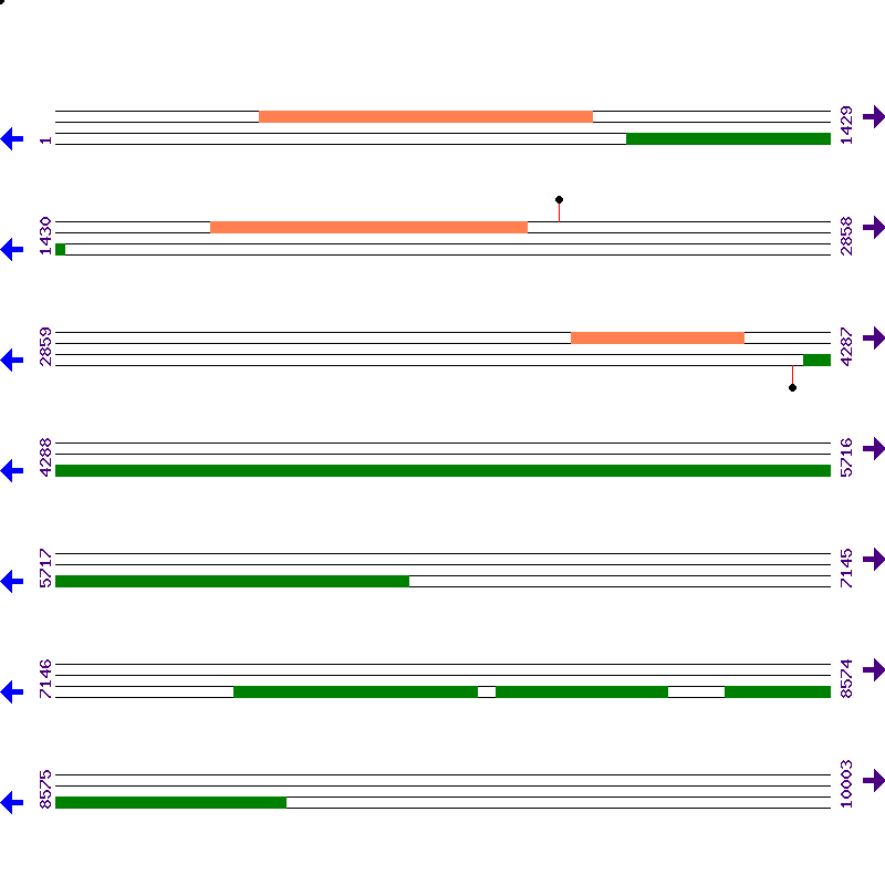 Genome View