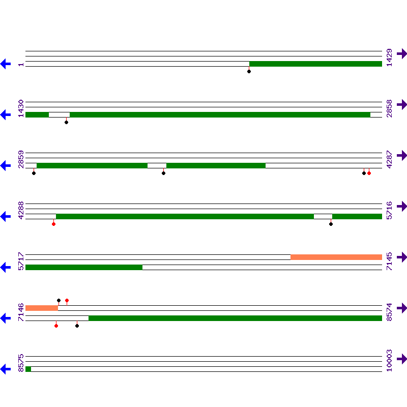 Genome View