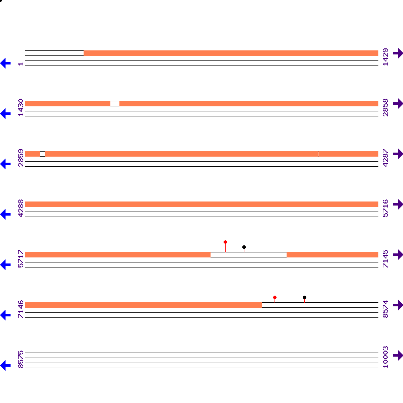 Genome View