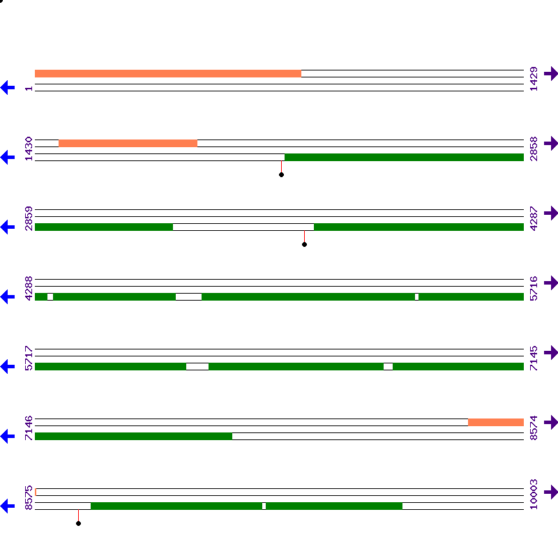 Genome View