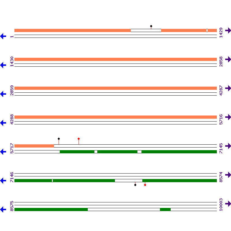 Genome View