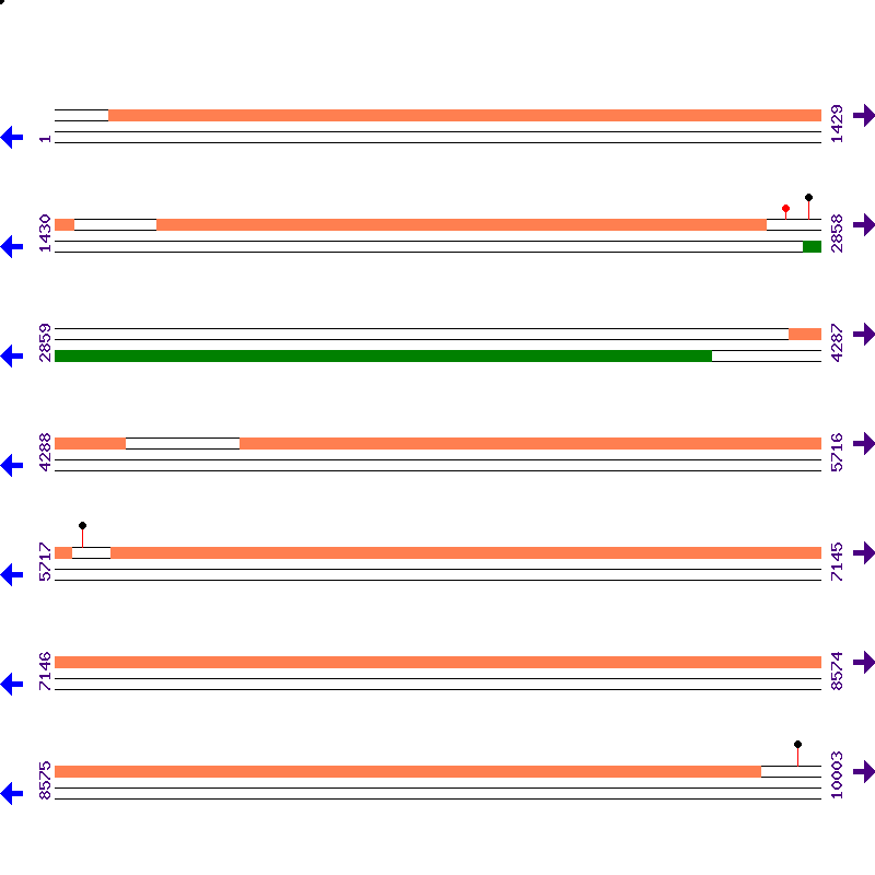Genome View